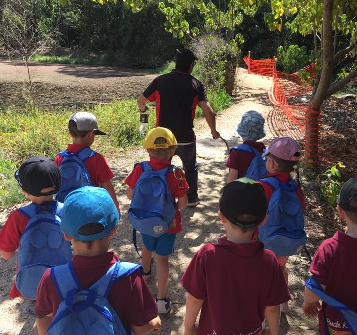 Another Bush Kindy Adventure